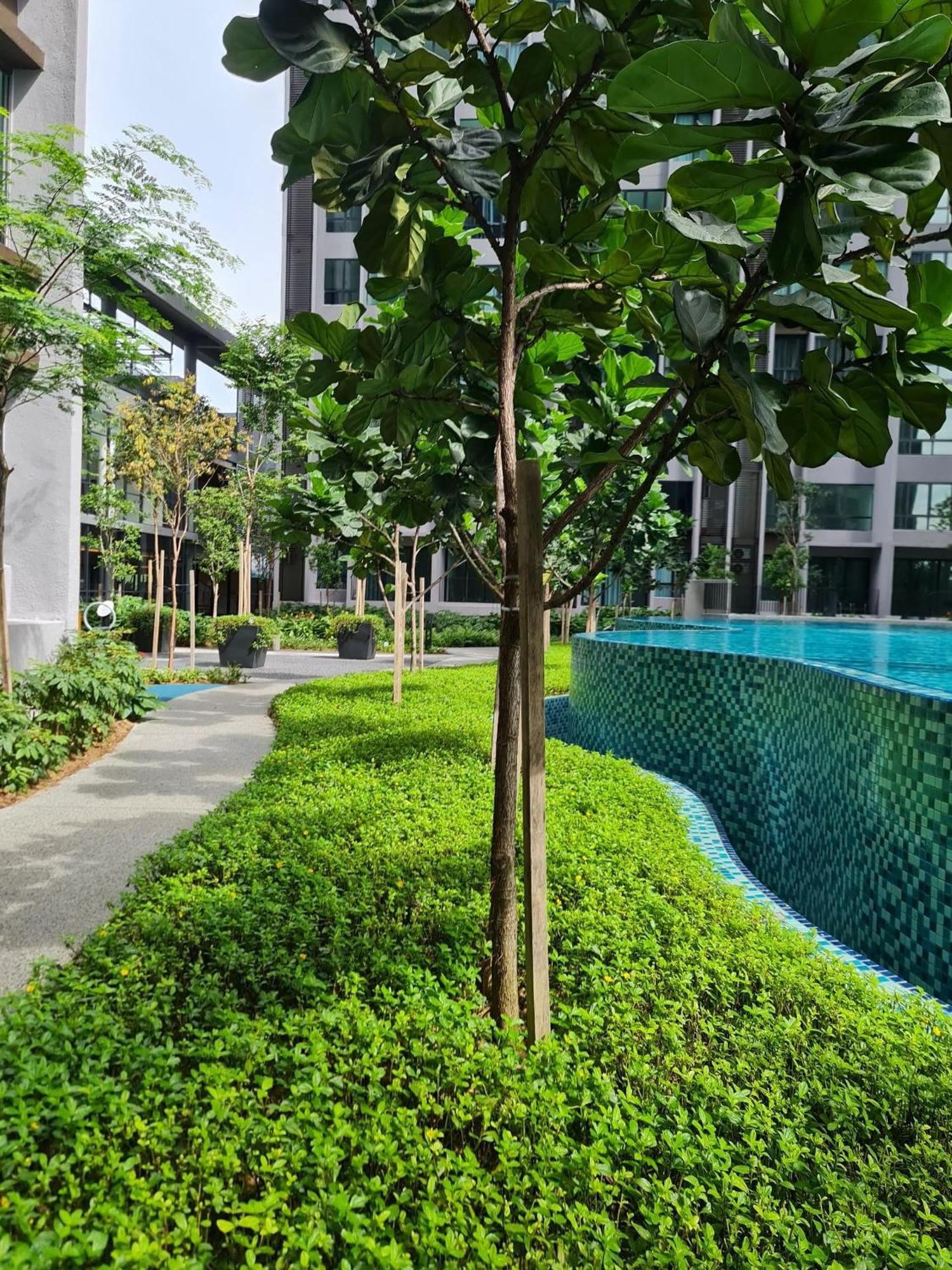 Cubic Botanical Entire Unit Parking/pool Kl Bangsar Apartment *